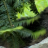 Immersion dans le parc animalier des Pyrénées
