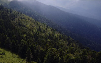 Les Pyrénées vues du ciel : filmer avec un drone