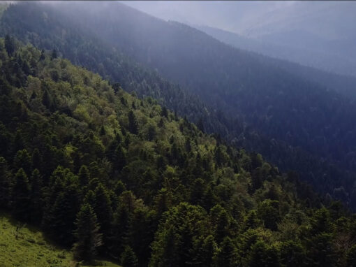 Les Pyrénées vues du ciel : filmer avec un drone